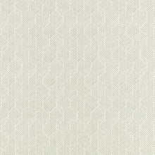 Remi Aubin Mineral Fabric by Romo