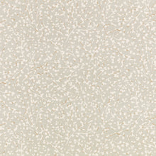 Eleni Aubin Moonstone Fabric by Romo