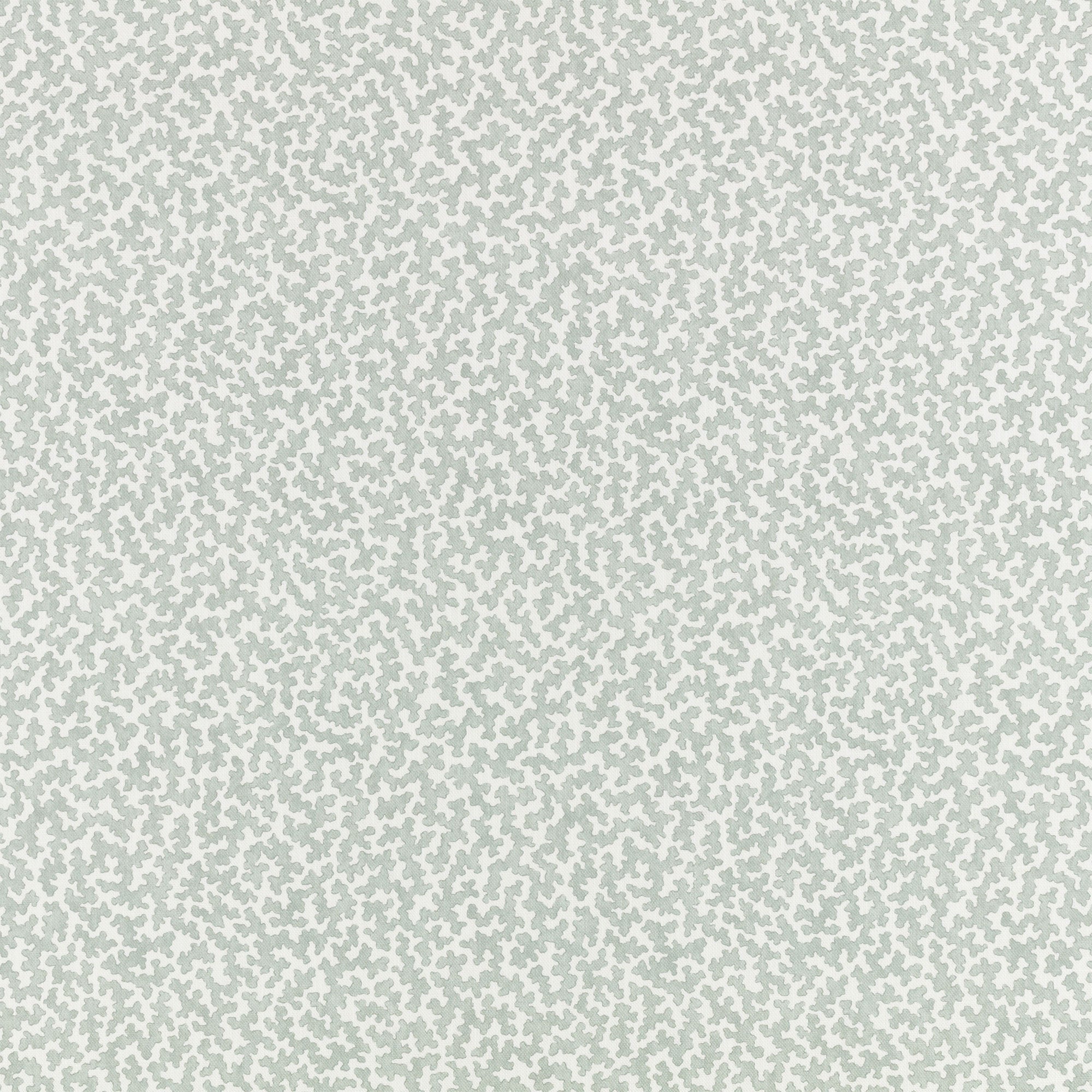 Junie Aubin Mineral Fabric by Romo