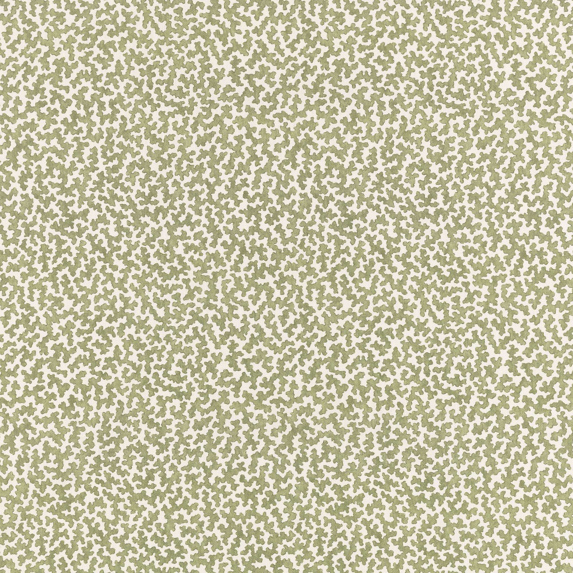 Junie Aubin Matcha Fabric by Romo