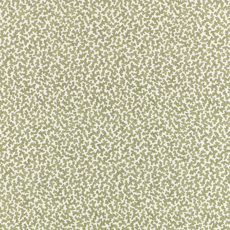 Junie Aubin Matcha Fabric by Romo