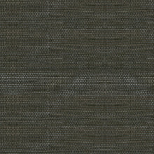 80701 Line Oculaire Wallpaper by Arte