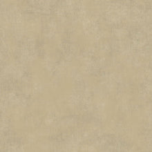 COLR80831265 Stone Uni So Color 5 Wallpaper by Casadeco