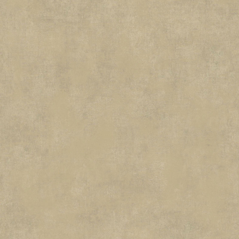 COLR80831265 Stone Uni So Color 5 Wallpaper by Casadeco