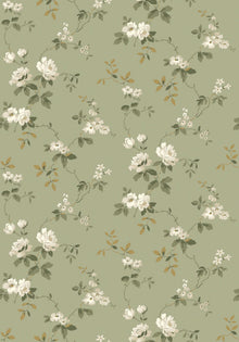 8086 Värmdö Light Green Anno II Wallpaper by Boråstapeter