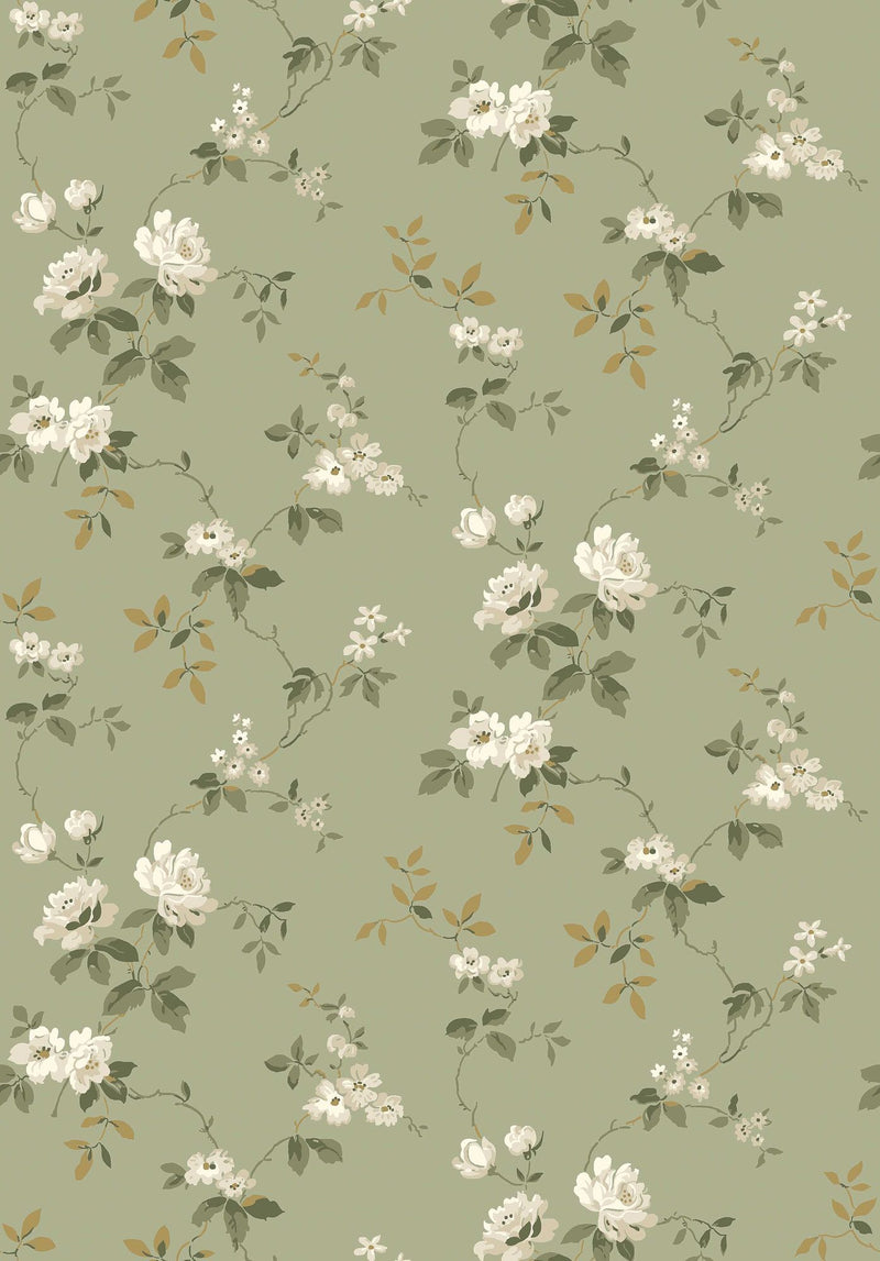 8086 Värmdö Light Green Anno II Wallpaper by Boråstapeter