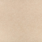 8092/02 Nivu Almond Fabric by Romo