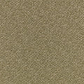 Arley Fern Lowen Fabric by Romo