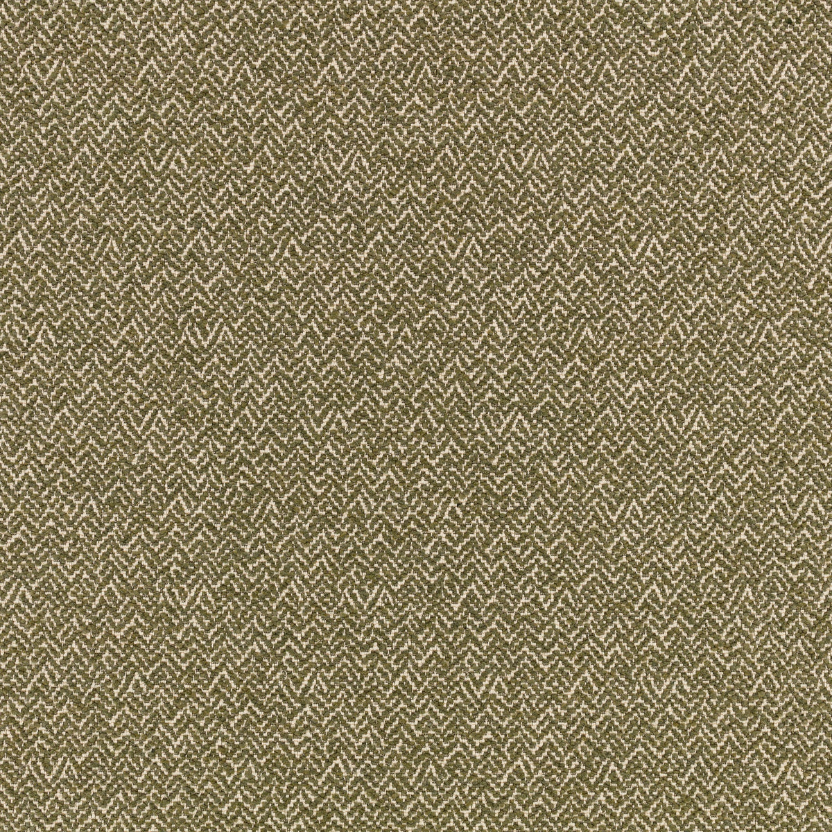 Arley Fern Lowen Fabric by Romo