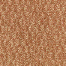 Arley Cajun Lowen Fabric by Romo