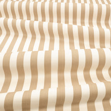 Arie Jute