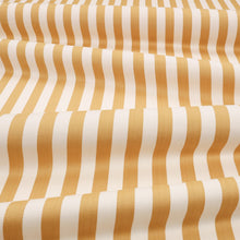Arie Ochre