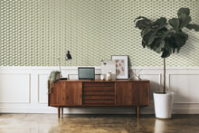 81215 Sage Green Venus Universe Wallpaper By Hohenberger