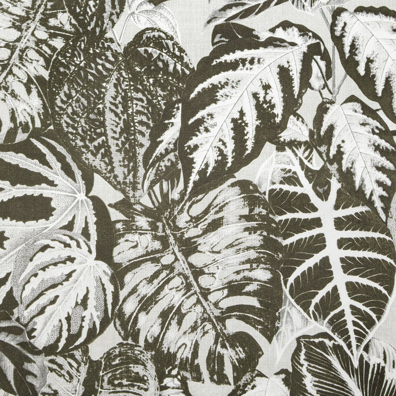 Elephant Leaf Sage Grey Feel Wallpaper By Hohenberger