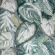 Vita Pepper Green Pepper Wallpaper By Hohenberger Galerie