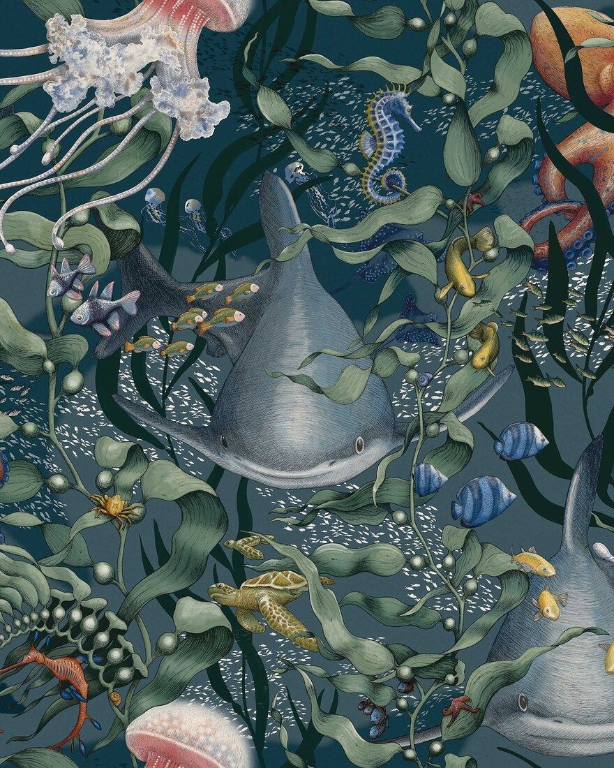 8153 Underwater Magic Multi Wallpaper by Boråstapeter