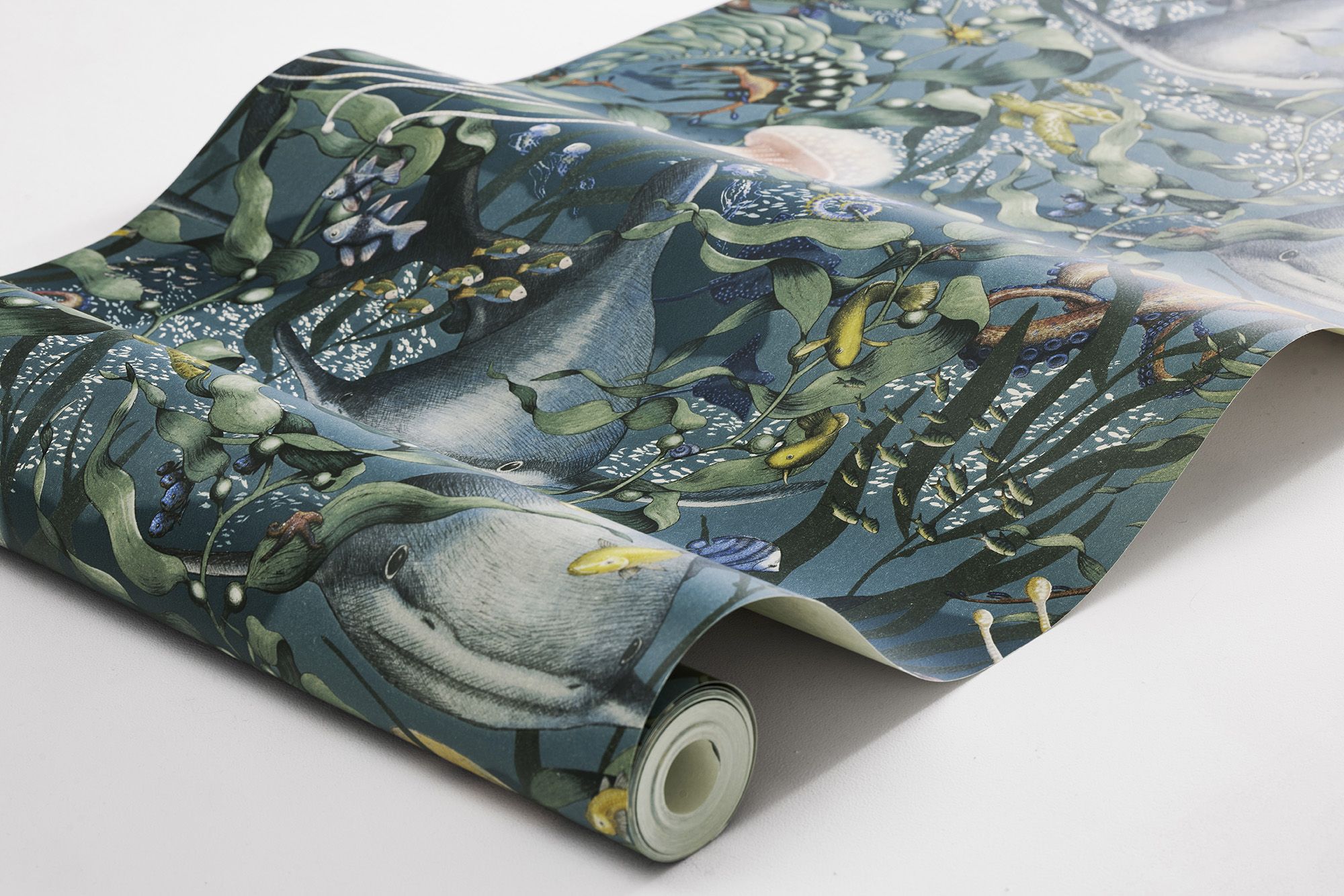 8153 Underwater Magic Multi Wallpaper by Boråstapeter