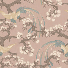 8162 Fenix Light Pink Charm Wallpaper by Boråstapeter