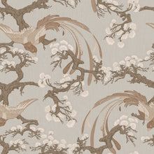 8163 Fenix Light Grey Charm Wallpaper by Boråstapeter