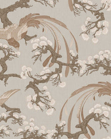 8163 Fenix Light Grey Charm Wallpaper by Boråstapeter
