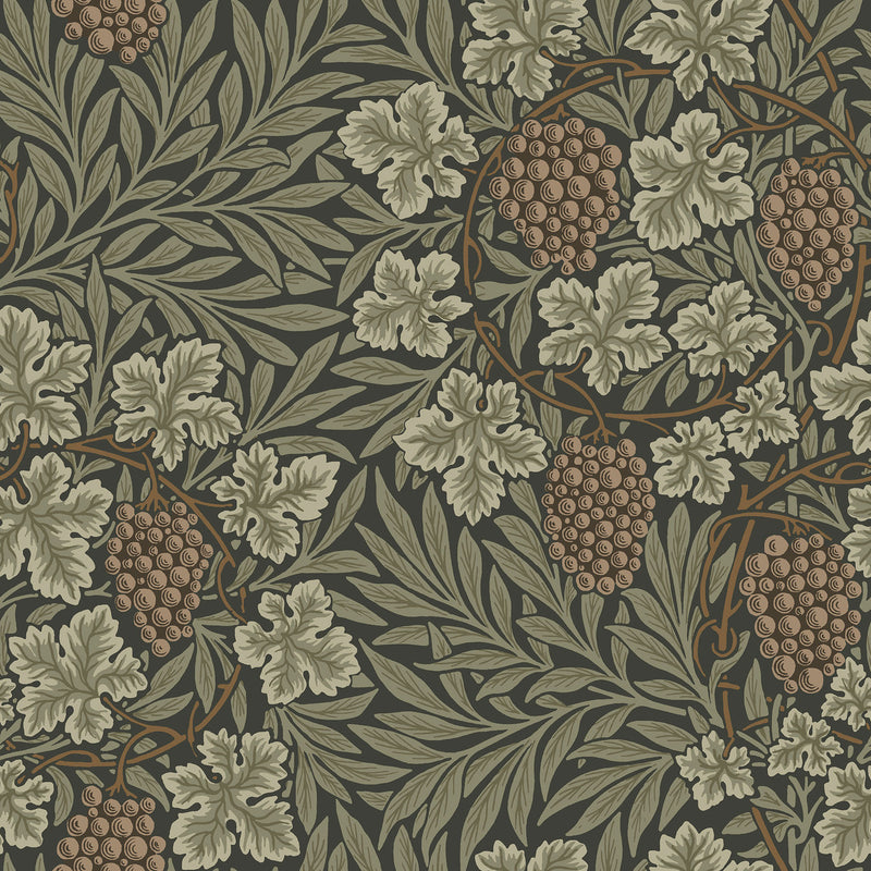82020 Vine Hidden Treasures Black Green Wallpaper By Galerie