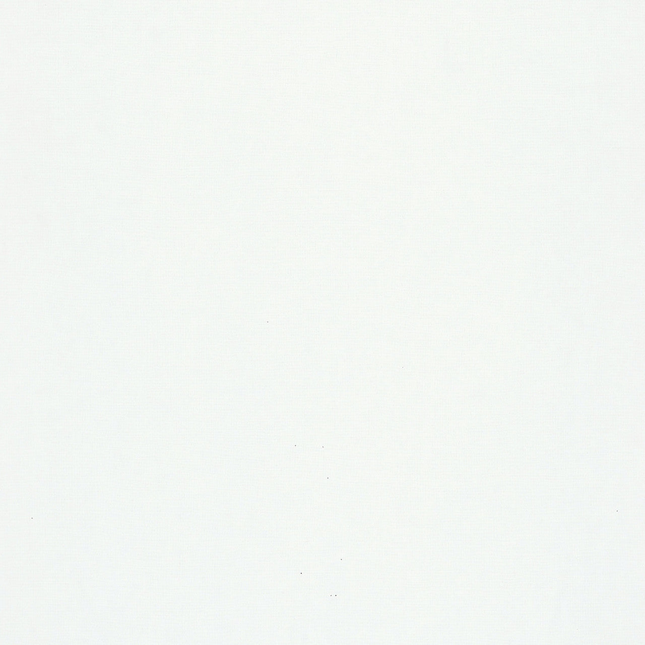 82345 Matte Plain Texture Flora White Wallpaper By Galerie