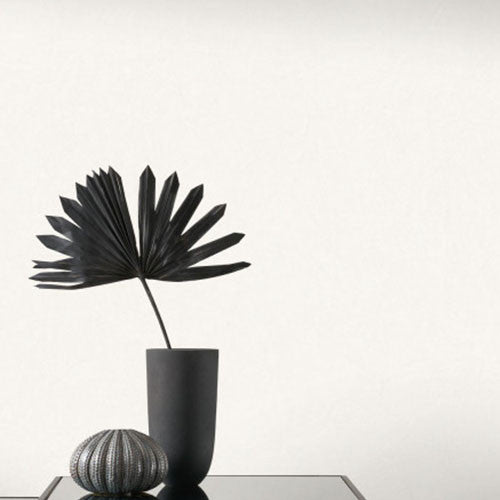 COLR82381141 Kiosque So Color 5 Wallpaper by Casadeco