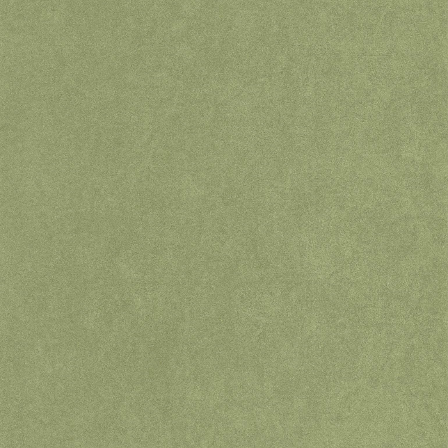 Cotton Touch Vert Cactus Gardens Wallpaper by Casadeco