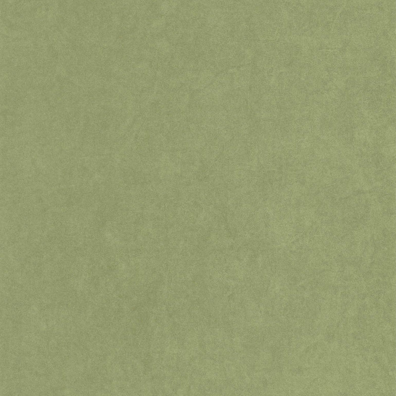 Cotton Touch Vert Cactus Gardens Wallpaper by Casadeco