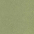 Kiosque Vert Cactus Wallpaper by Casadeco