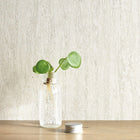 83790129 Season So White 4 Blanc Wallpaper by Casadeco
