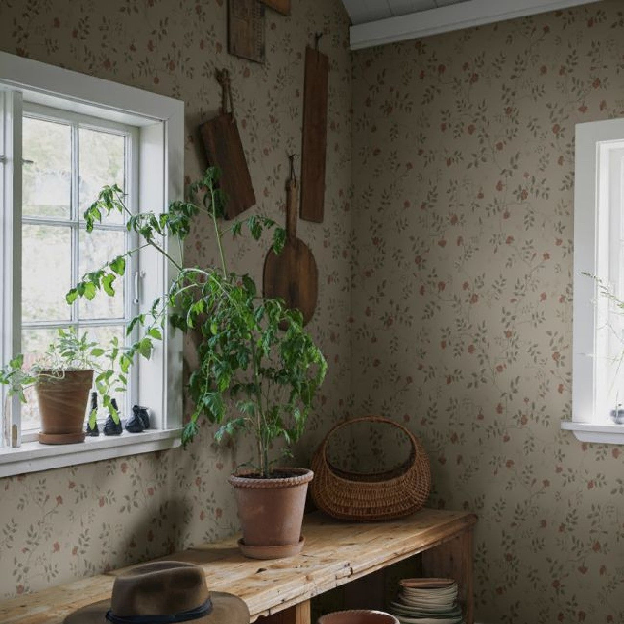 840-12 Henny Kolonin Ginseng Wallpaper By Sandberg