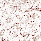 8400082 Salines Wine Mallorca Wallpaper by Coordonné