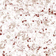 Salines Wine Mallorca Wallpaper by Coordonné
