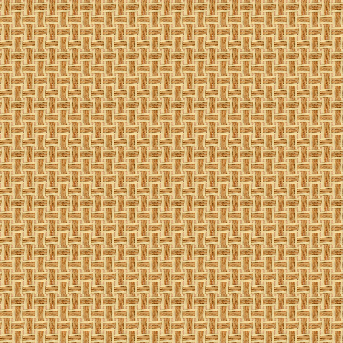 8400091 Design 5 Piece Unique Wallpaper by Coordonné