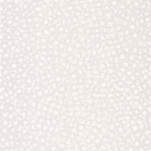 SWHT84540208 Bullae So White 4 Wallpaper by Casadeco