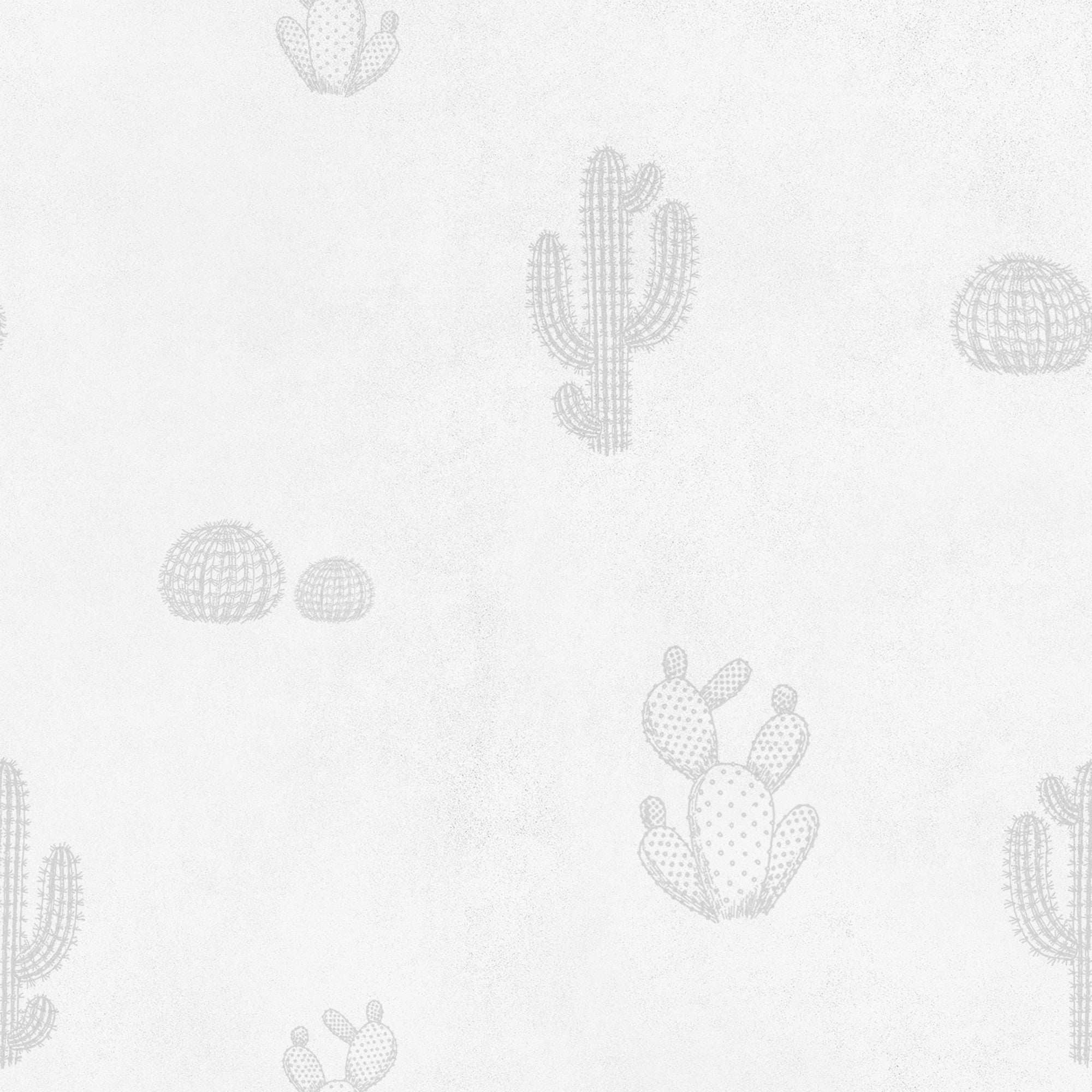 8500003 Arizona Grey Instant Wallpaper by Coordonné