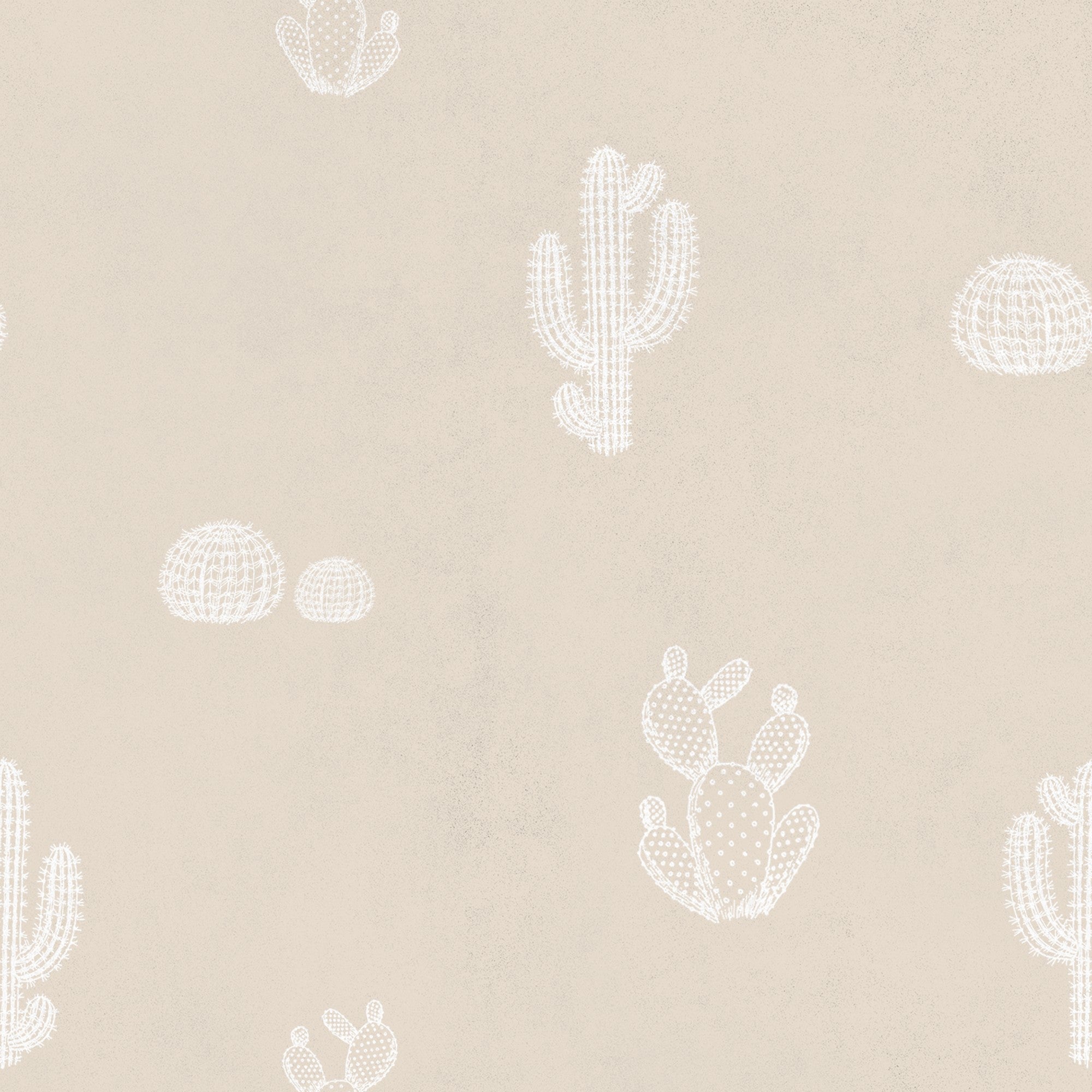 8500004 Arizona Beige Instant Wallpaper by Coordonné