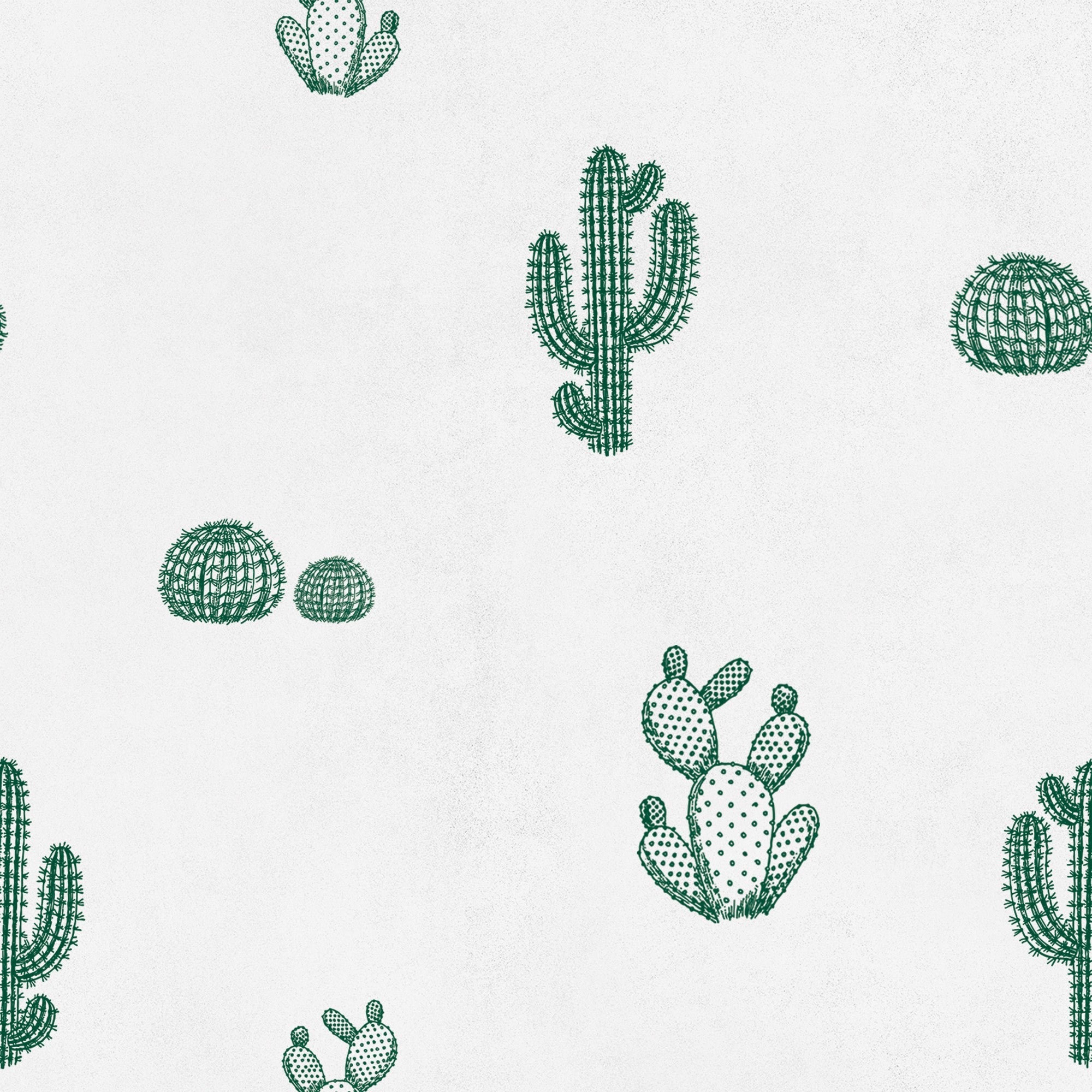 8500005 Arizona Green Instant Wallpaper by Coordonné