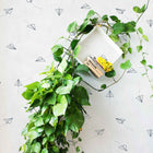 8500044 Lindbergh Navy Instant Wallpaper by Coordonné