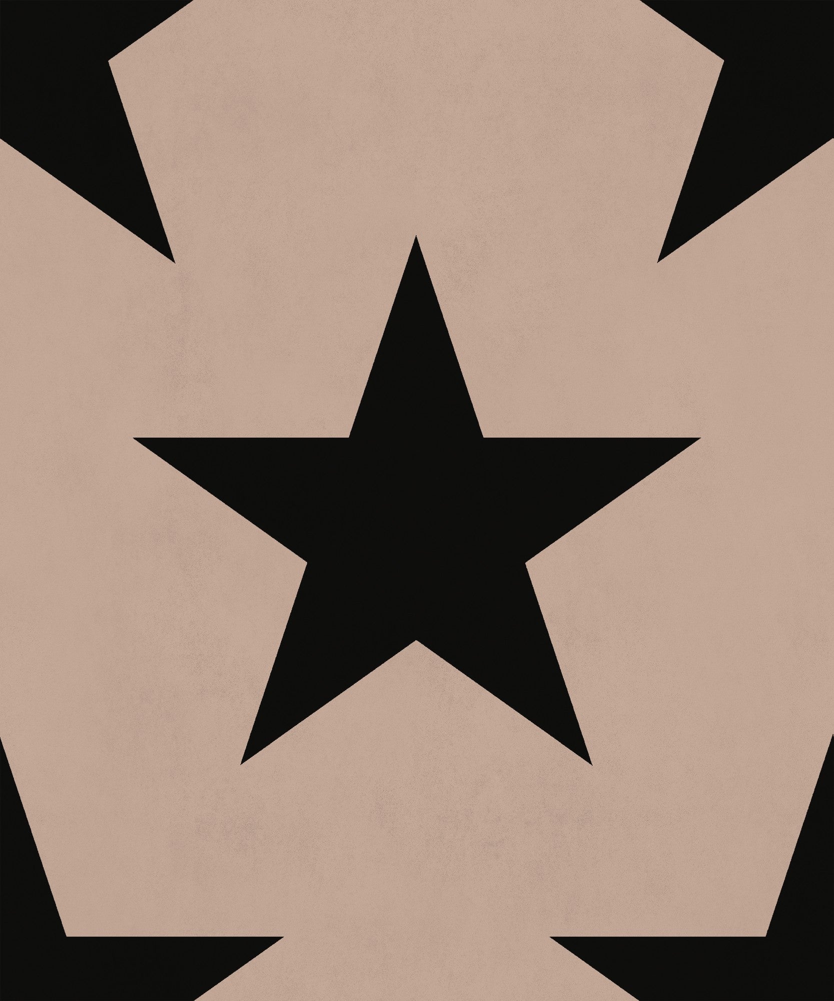 8500070 Hollywood Nude Instant Wallpaper by Coordonné