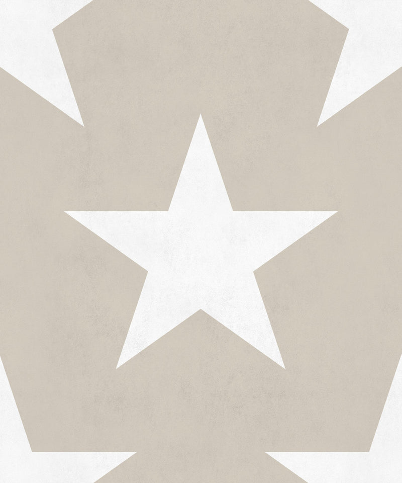 8500072 Hollywood Beige Instant Wallpaper by Coordonné