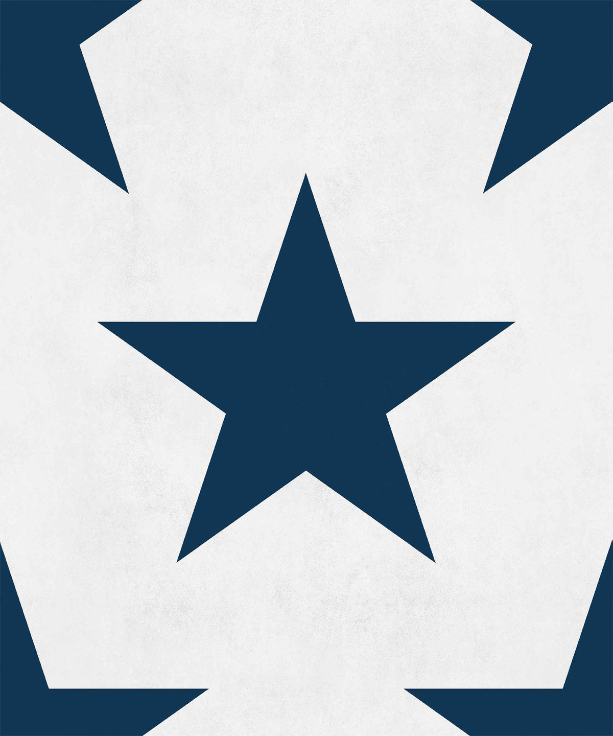 Hollywood Navy Instant Wallpaper by Coordonné