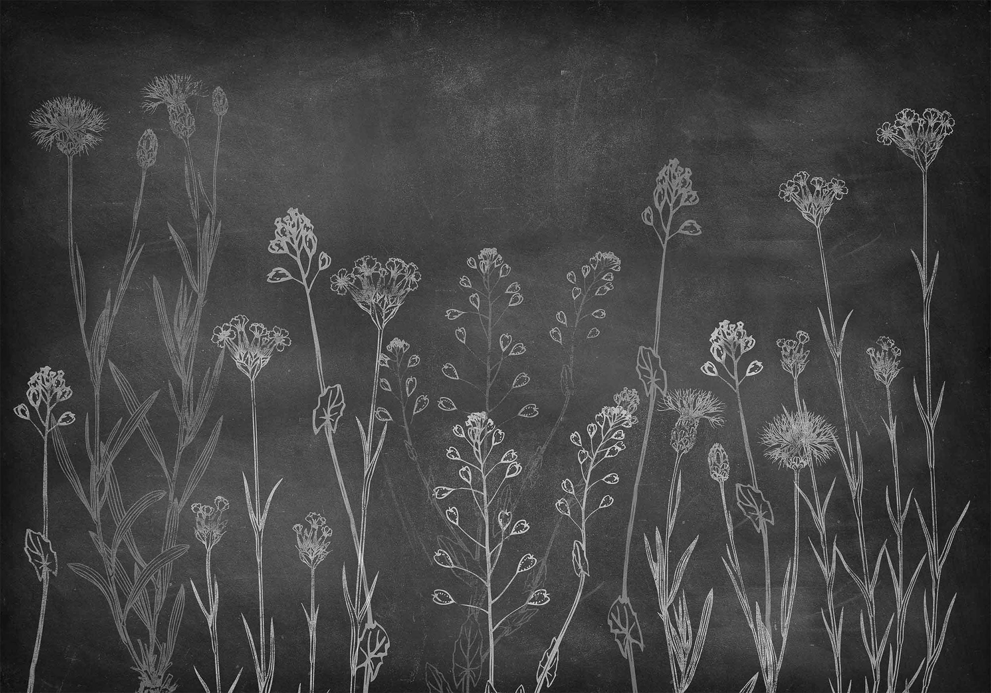 Wild Chalk Night Instant Mural by Coordonné