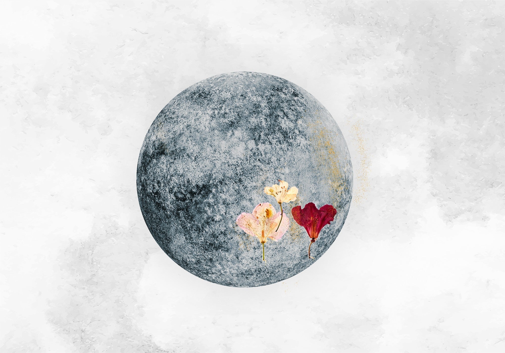 8500151 Full Moon Blue Instant Mural by Coordonné
