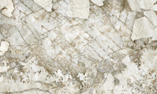 85658 Avenza Soft Graphite Carrara 4 Mural by Today Interiors (500x300cm) - Flat