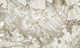 Avenza Soft Graphite Carrara 4 Mural by Today Interiors (500x300cm)