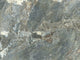 Avenza Slate Blue Carrara 4 Mural by Today Interiors (400x300cm)