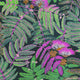 Albizia Botanica Wallpaper by Casadeco