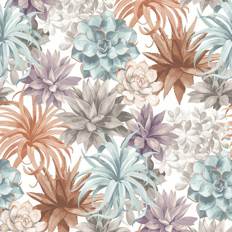 BOTA85914374 Echeveria Botanica Wallpaper by Casadeco